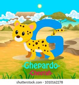 ghepardo meaning.